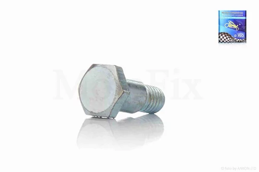 Болт натягувача ланцюга ГРМ Delta d8, L25 "LIPAI", QT-008488