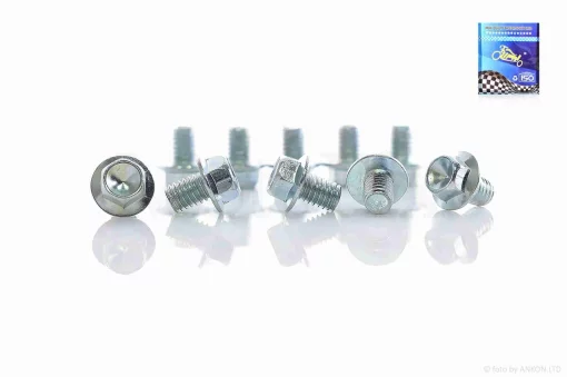 Болти кріплення передньої зірки Delta "LIPAI" [10шт], QT-008491