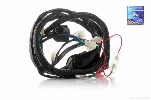 Проведення Active 110 "LIPAI", QT-008712