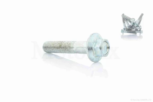 Болт с фланцем M8 L40 (10шт, хром), QT-008738