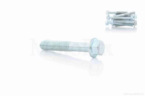Болт із фланцем M6 L35 (10шт, хром), QT-004384