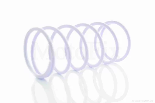 Пружина щеки сцепления Suzuki 1000rpm "SEE" (Sheng-E) ТАЙВАНЬ, QT-014758