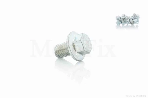 Болт із фланцем M8 L12 (10шт, хром), QT-010656