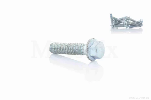 Болт із фланцем M6 L25 (10шт, хром), QT-024696