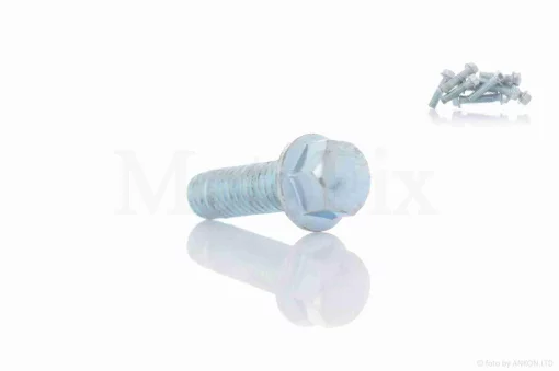 Болт із фланцем M6 L18 (10шт, хром), QT-019360