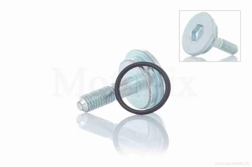 Болт успокоителя цепи ГРМ (лыжи) GY6 150 #OEM, QT-020129