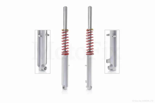 Амортизатори передні (пір'я) ZUBR диск, d43, QT-026802