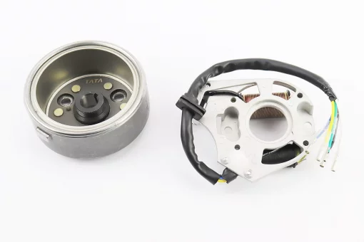 Магнето у зборі (на 2 котушки), FIX-338878