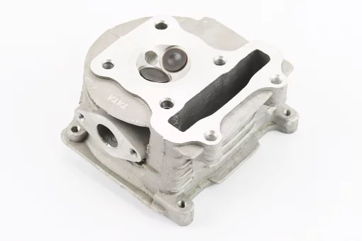 Головка циліндра + клапана + пастель у зборі 44мм-60cc, FIX-206276