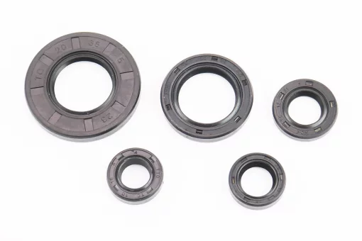 Сальники к-кт 5шт (10x18x5; 12x18x5; 12x21x4; 20x30x4,5; 20x38x5) двигателя, FIX-506115