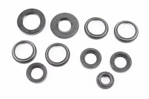 Сальники к-кт 10шт (17x30x7/10; 22x35x7; 23x36,5x6-2шт; 25x52x6; 34x43x5/8-4шт; 34x52x9) Планета, FIX-342138