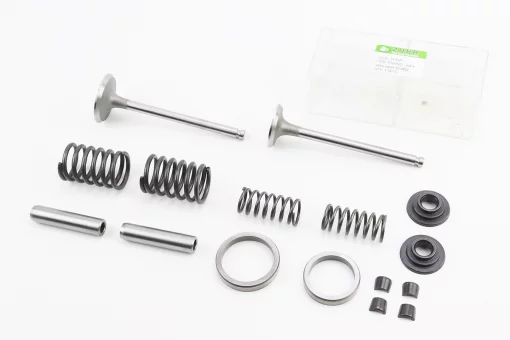 Клапан впускной (h-120; D-42; d-7,95), выпускной (h-120; D-36; d-7,95) + клапанный механизм к-кт R195NM, FIX-624029