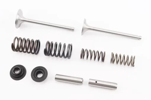 Клапан впускной (h-120; D-42; d-7,95), выпускной (h-120; D-36; d-7,95) + клапанный механизм к-кт R195NM, FIX-999553