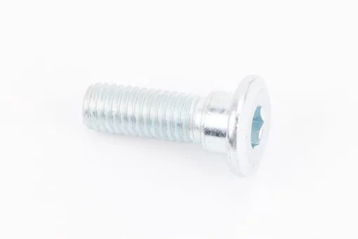 Болт крепления тормозного диска M8x25mm (под шестигранник) тип 1, FIX-999815