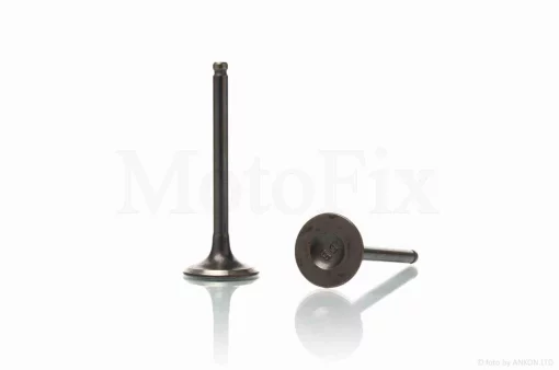 Клапаны ГРМ d26/30, h90/90 GS125 "LIPAI", QT-006944