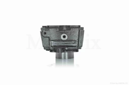 ЦПГ Delta 110, ATV110 D52.4, p14, h69, чавун, тефлон #PRO "LIPAI", QT-031097