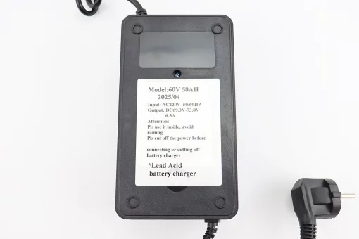 Зарядное устройство 60V 58Ah (6V 1A) Cargo16, FIX-209876