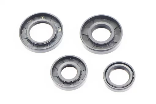 Сальники к-кт 4шт (17x35x7; 20x30x6; 20x42x8; 25x44x7) двигателя, FIX-210701