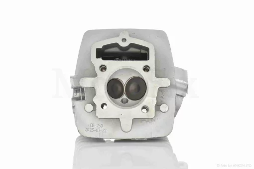 Головка цилиндра 165FMM/166FMM CB200/CB250 D65.5, d28/34 в сборе, QT-029941
