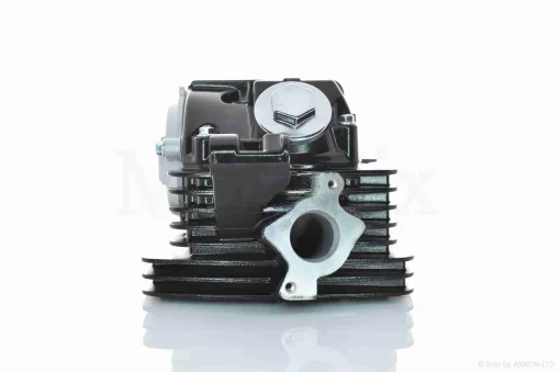 Головка циліндра 165FMM/166FMM CB200/CB250 D65.5, d27/31.5 у зборі "LIPAI" (чорна, TTR250), QT-031010