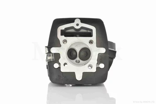 Головка циліндра 165FMM/166FMM CB200/CB250 D65.5, d27/31.5 у зборі "LIPAI" (чорна, TTR250), QT-031010