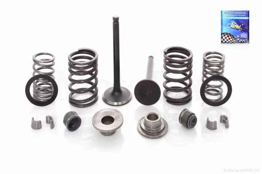 Клапаны ГРМ d20/23, h65/65.4 Delta 110, Active 110 в сборе "LIPAI", QT-025214