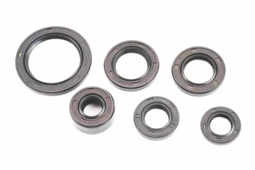 Сальники к-кт 6шт (11,6x24x10; 12x21x4; 13,7x24x5; 17x29x5; 18,9x30x5; 30x42x4,5) двигателя, 139FMB/147FMH/152FMH, FIX-327163