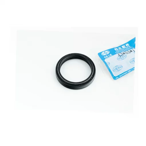 Сальник (43x53x8/10,5) вилки передней, Terra-X 250 (2015), GEON, YQ-359413