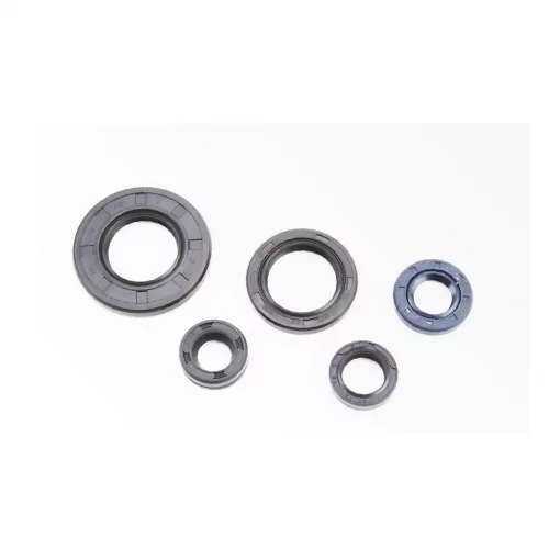 Сальники к-кт 5шт (10x18x6; 12x18x5; 12x21x4; 20x30x4,5; 20x38x5) двигателя, YBR125, YQ-506033