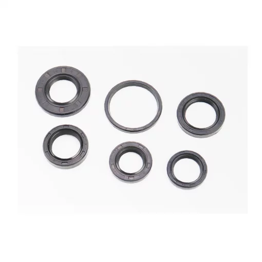 Сальники к-кт 6шт (17x28x5,5; 19x26x5; 20x30x7; 20x38x5; 22x32x5,5; 34x39x3) двигуна, TB60, 2Т-ЛАНЦЮГ, YQ-311161