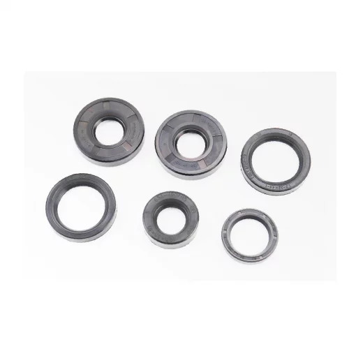 Сальники к-кт 6шт (19,5x35x10; 20x47x10-2шт; 25x35x7; 32x44x7-2шт), Мінск, YQ-340017