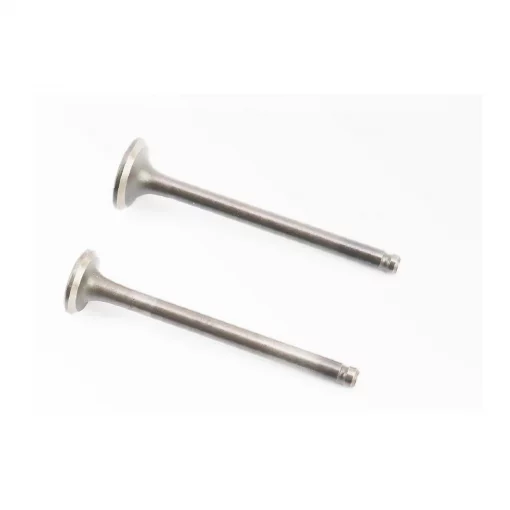 Клапана впускной (H-69; D-18,5), выпускной (H-69; D-16) к-кт 2шт, 50-100сс 4Т, YQ-309500