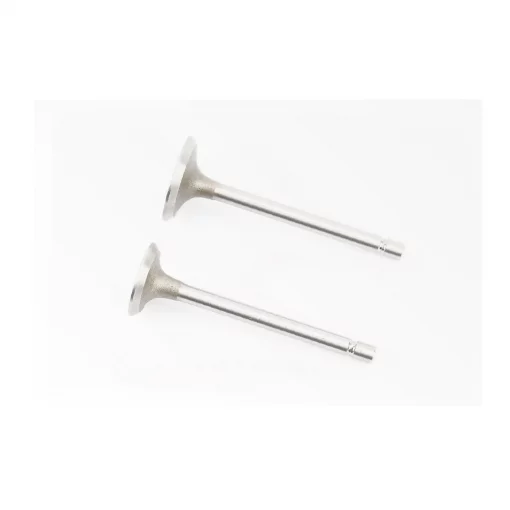 Клапана впускной (H-79,8; D-30,5; d-6), выпускной (H-79,8; D-25,5; d-6) к-кт 2шт 178F, D178/186F, YQ-602058