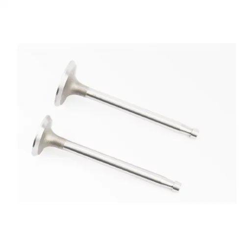 Клапани впускний (H-120; D-42; d-8,9), випускний (H-120; D-36; d-8,9) к-кт ZS1100, D(ZS1100), YQ-610012