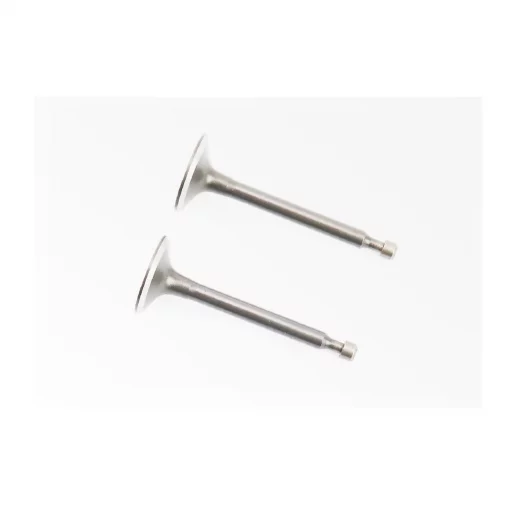 Клапани впускний (H-64; D-25; d-5,45), випускний (H-62; D-24; d-5,45) к-кт 2шт 168F, D168F, YQ-601018